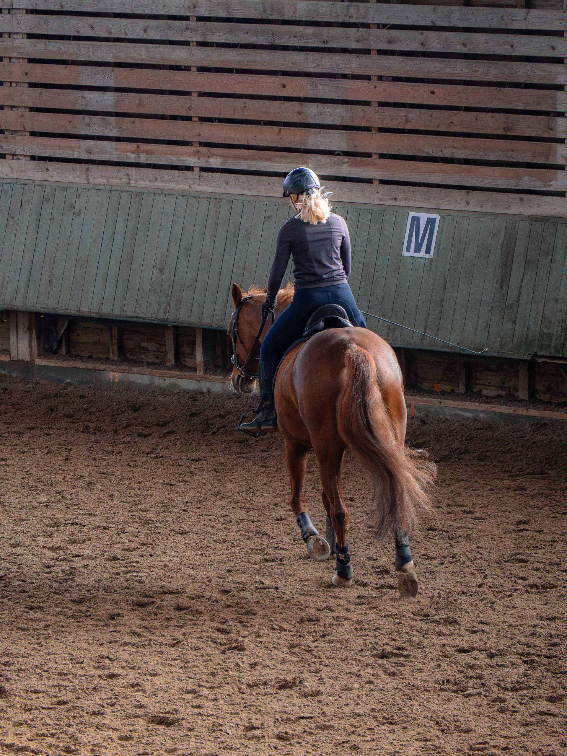 équitation_cavalière_sur_son_cheval