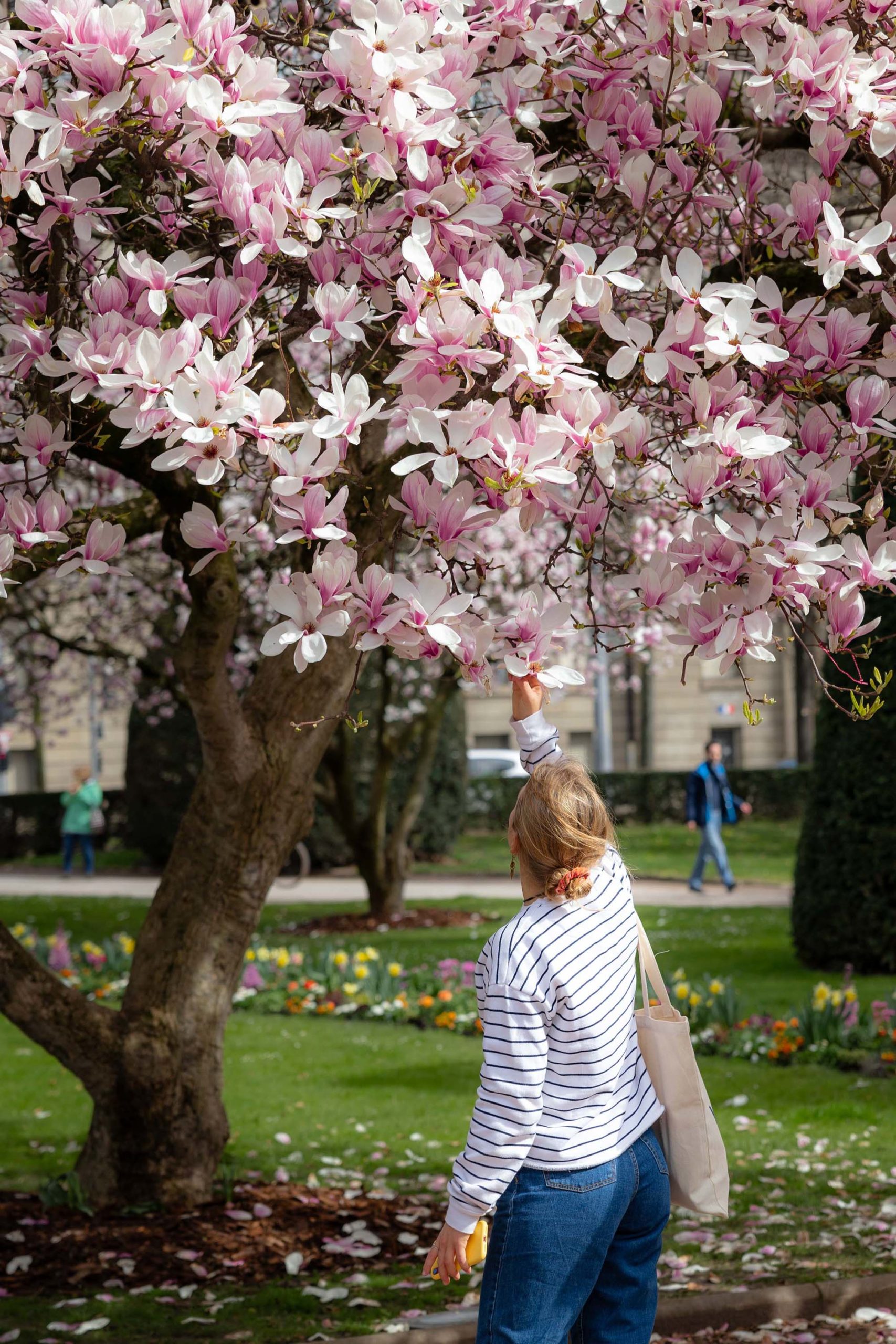 fille_prend_une_fleur_magnolia